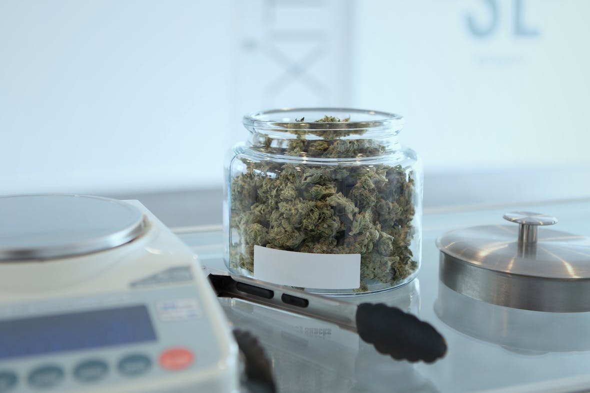 Investment-Chancen in der Cannabis Pharmazie