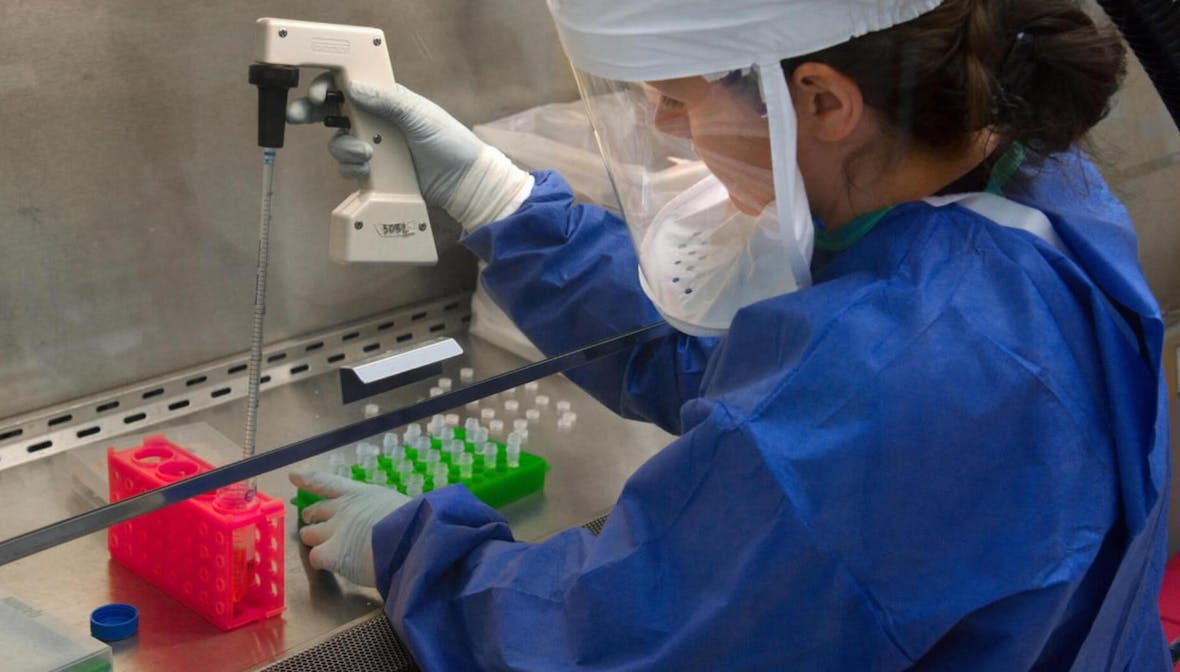 Neues Grippe-Medikament Baloxavirmarboxil äußerst wirksam: Roche-Aktie nach positiver Studie im Höhenflug