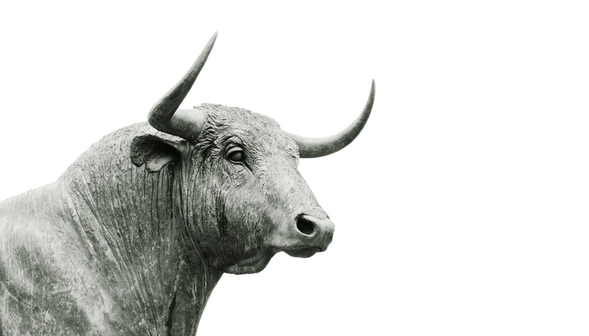 Abgesang an den Bullenmarkt