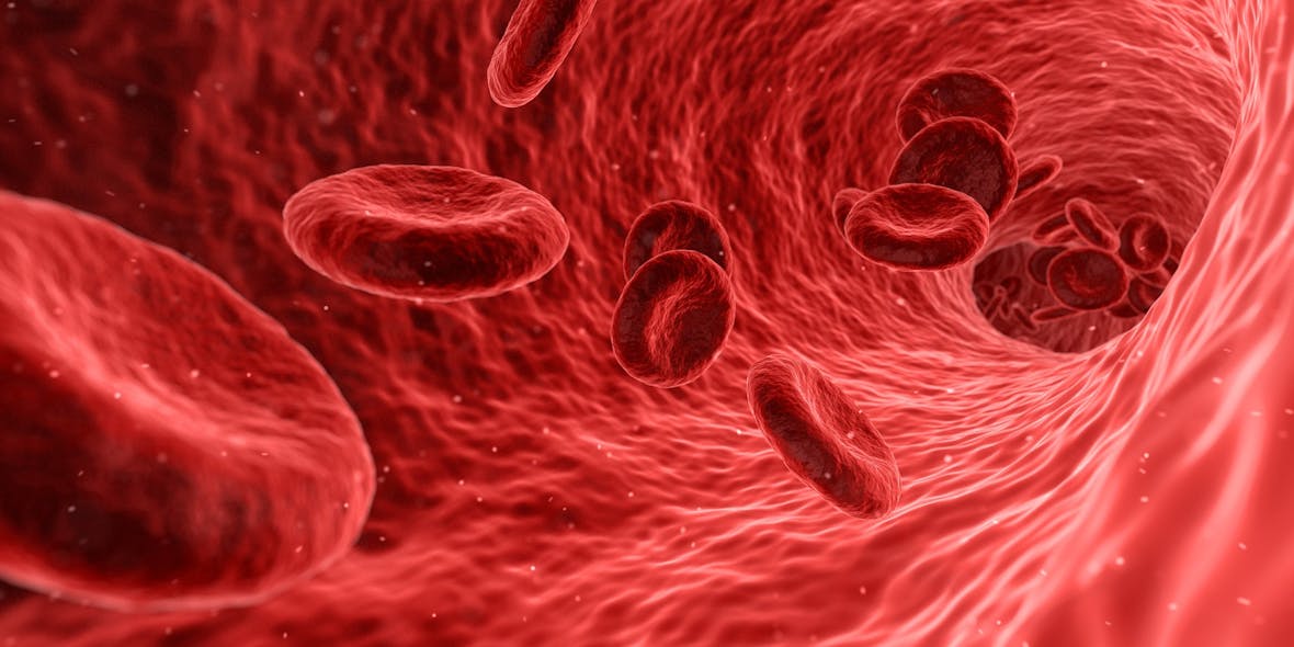 Die besten Fonds: Biotechnologie Welt